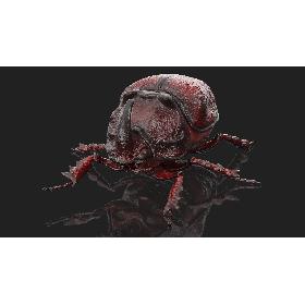 Oryctes Nasicornis Rhinoceros Beetle Standing 3D model